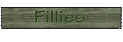 Fillies