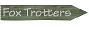 Missouri Fox Trotters