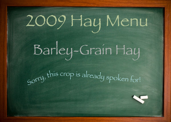 2009 Hay Choices